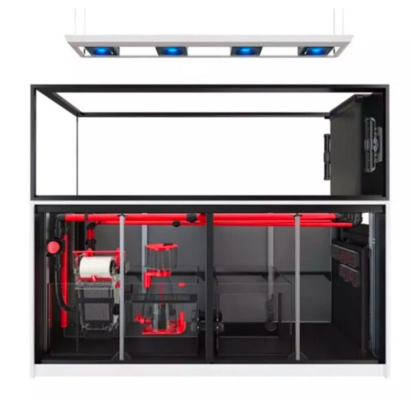 REEFER MAX PENINSULA S 950 G2+ V4 All Inclusive