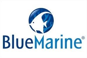 Ecumeurs Blue Marine